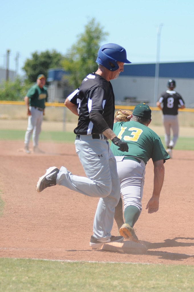 Seals_2019-08-25 (273).JPG - (c)2010 DeVetter